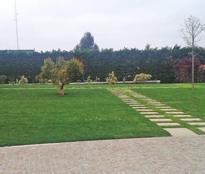 Trabajos de jardinería en Ourense